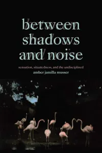 Between Shadows and Noise_cover