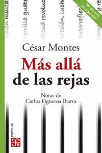 Más allá de las rejas_cover