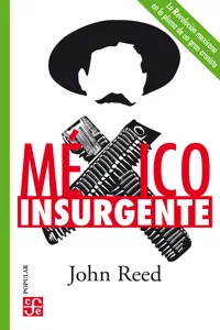 México insurgente_cover