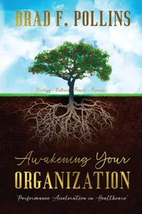 Awakening Your Organization: Performance Acceleration in Healthcare_cover