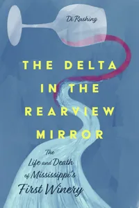 The Delta in the Rearview Mirror_cover