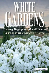 White Gardens_cover