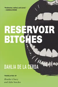 Reservoir Bitches_cover