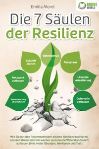 Die 7 Säulen der Resilienz: Wie Sie mit den Powermethoden eiserne Resilienz trainieren, absolut Stressresistent werden und eiserne Widerstandskraft aufbauen_cover
