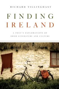 Finding Ireland_cover