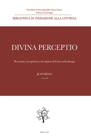 Divina perceptio