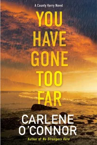 You Have Gone Too Far_cover