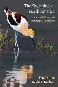 The Shorebirds of North America_cover