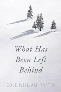What Has Been Left Behind_cover