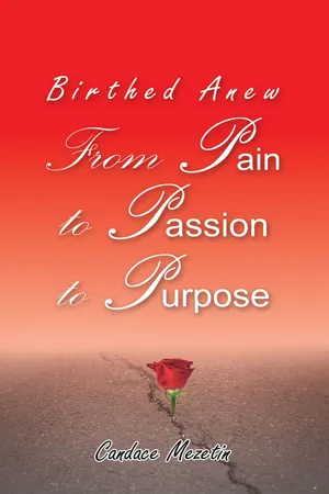 Birthed Anew: From Pain to Passion to Purpose