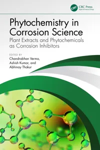 Phytochemistry in Corrosion Science_cover