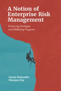 A Notion of Enterprise Risk Management_cover