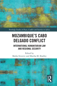 Mozambique's Cabo Delgado Conflict_cover