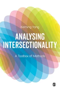 Analysing Intersectionality_cover