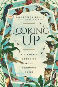 Looking Up_cover
