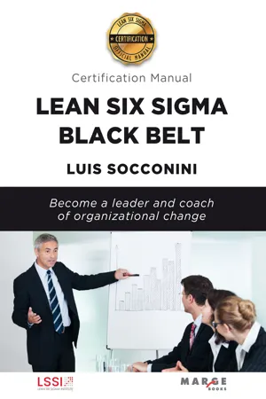 Lean Six Sigma Black Belt. Certification manual