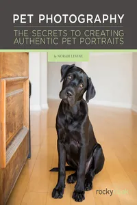Pet Photography_cover