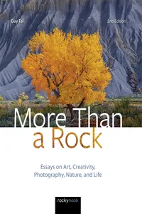 More Than a Rock, 2nd Edition_cover