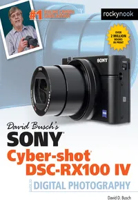 David Busch's Sony Cyber-shot DSC-RX100 IV_cover