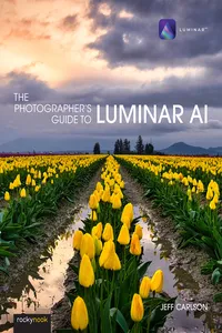 The Photographer's Guide to Luminar AI_cover
