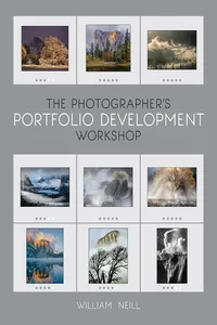 The Photographer's Portfolio Development Workshop_cover