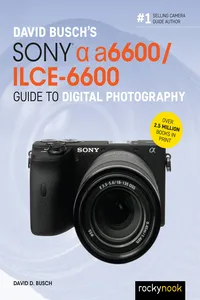 David Busch's Sony Alpha a6600/ILCE-6600 Guide to Digital Photography_cover