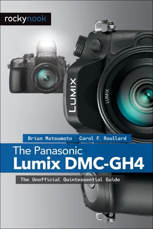 The Panasonic Lumix DMC-GH4