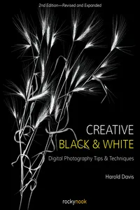 Creative Black and White_cover