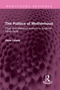 The Politics of Motherhood_cover