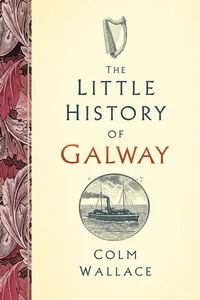 The Little History of Galway_cover