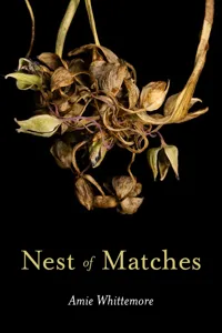 Nest of Matches_cover