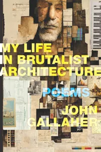 My Life in Brutalist Architecture_cover