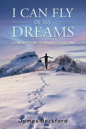I Can Fly in My Dreams: Conception to Manifestation