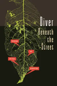 Diver Beneath the Street_cover