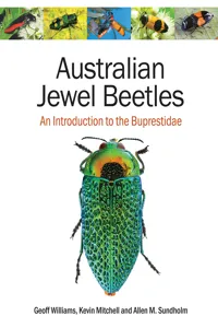 Australian Jewel Beetles_cover