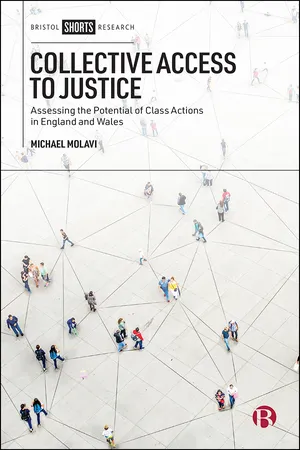 Collective Access to Justice