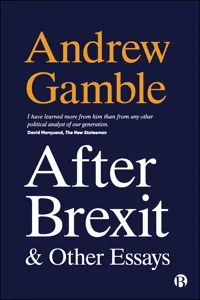 After Brexit and Other Essays_cover