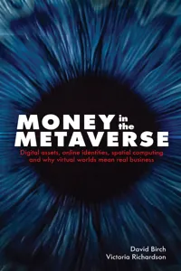Money in the Metaverse_cover
