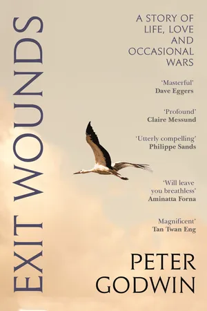 Exit Wounds