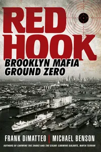 Red Hook_cover
