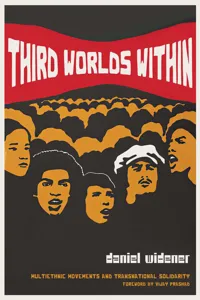 Third Worlds Within_cover