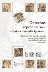 Derechos reproductivos: reflexiones interdisciplinarias_cover