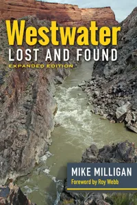 Westwater Lost and Found_cover