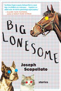 Big Lonesome_cover