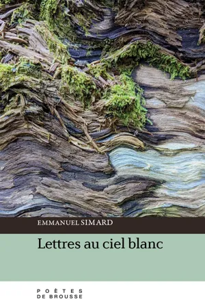 Lettres au ciel blanc