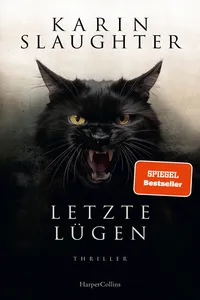 Letzte Lügen_cover