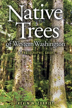 Native Trees of Western Washington