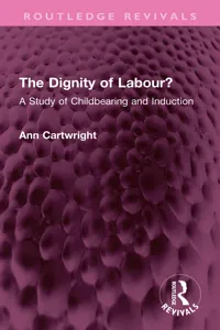 The Dignity of Labour?_cover