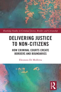 Delivering Justice to Non-Citizens_cover