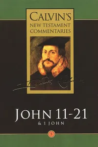 John 11-21 & 1 John_cover